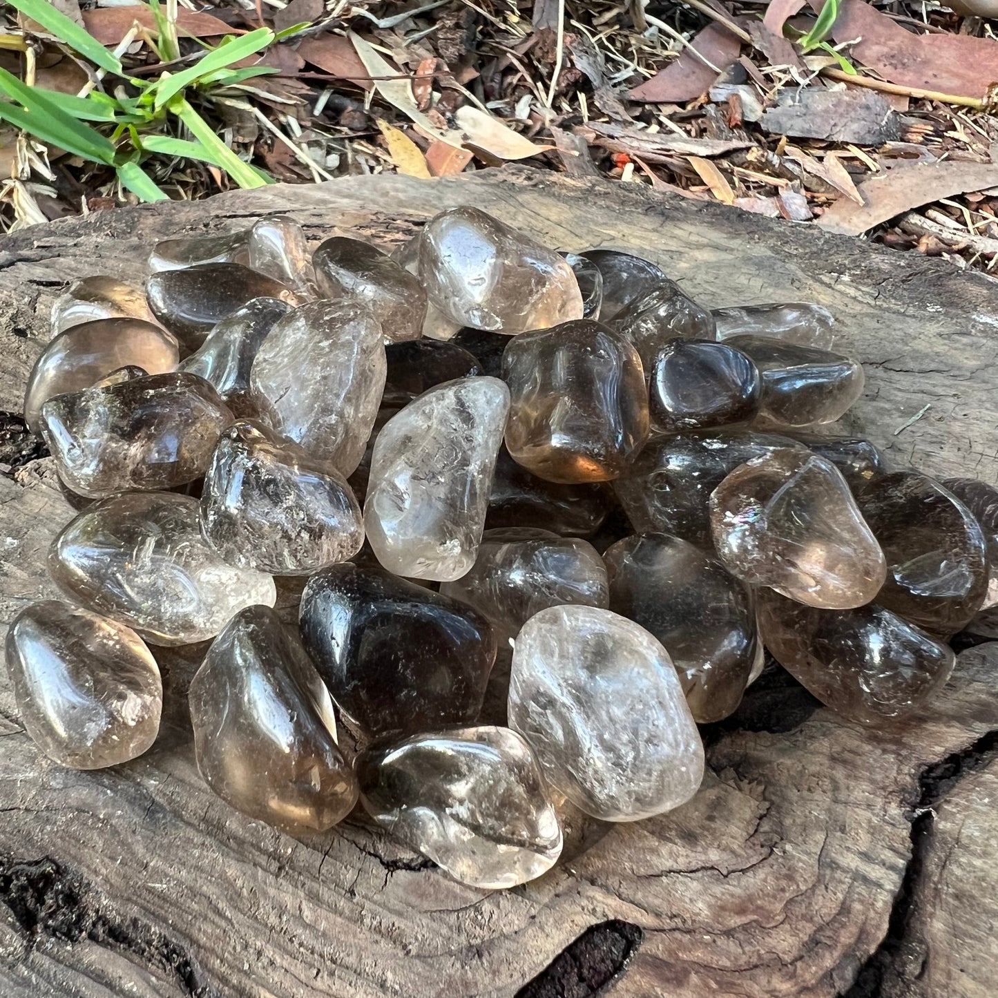 Tumbles - Smoky Quartz