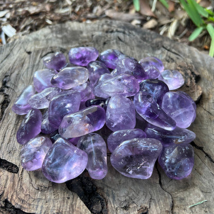 Tumbles - Amethyst