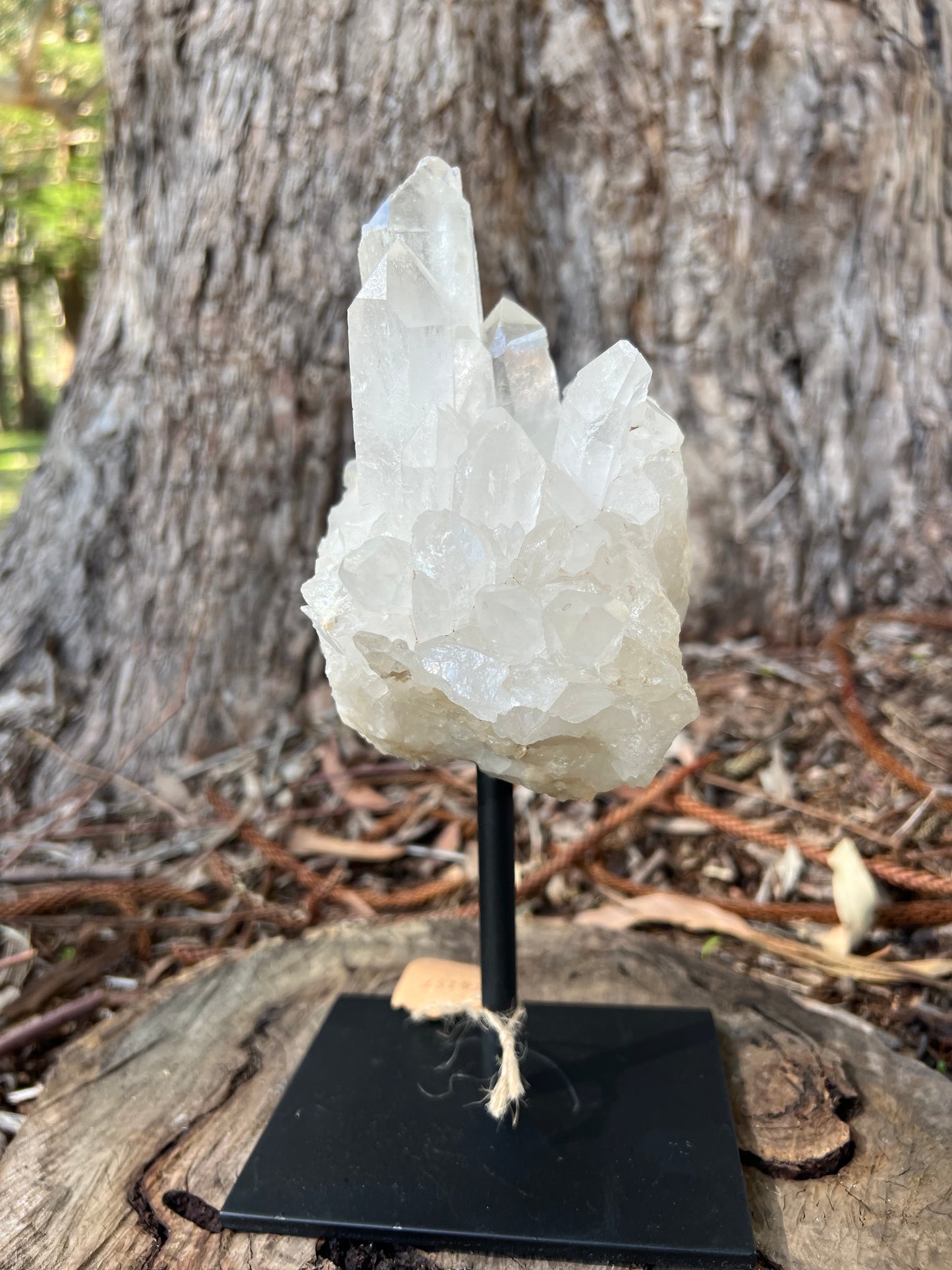 Clear Quartz Cluster