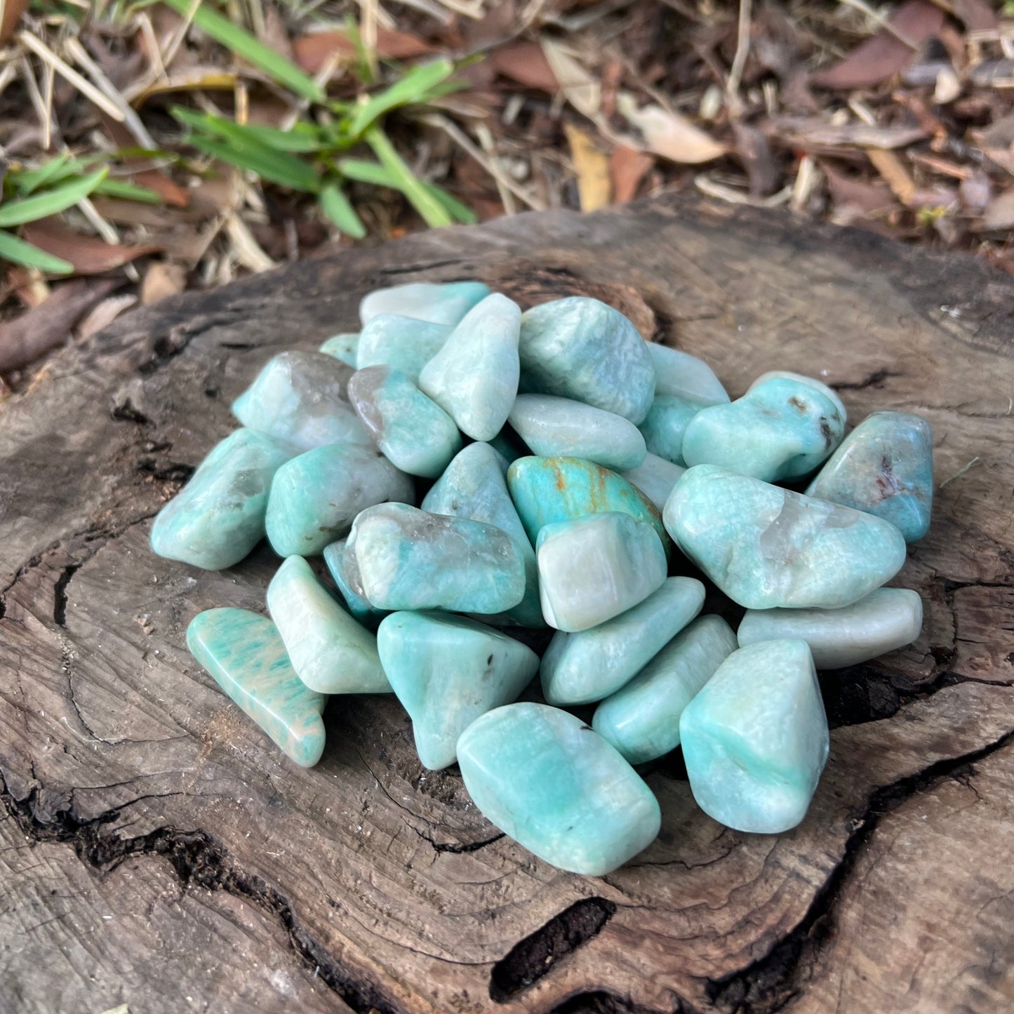 Tumbles - Amazonite