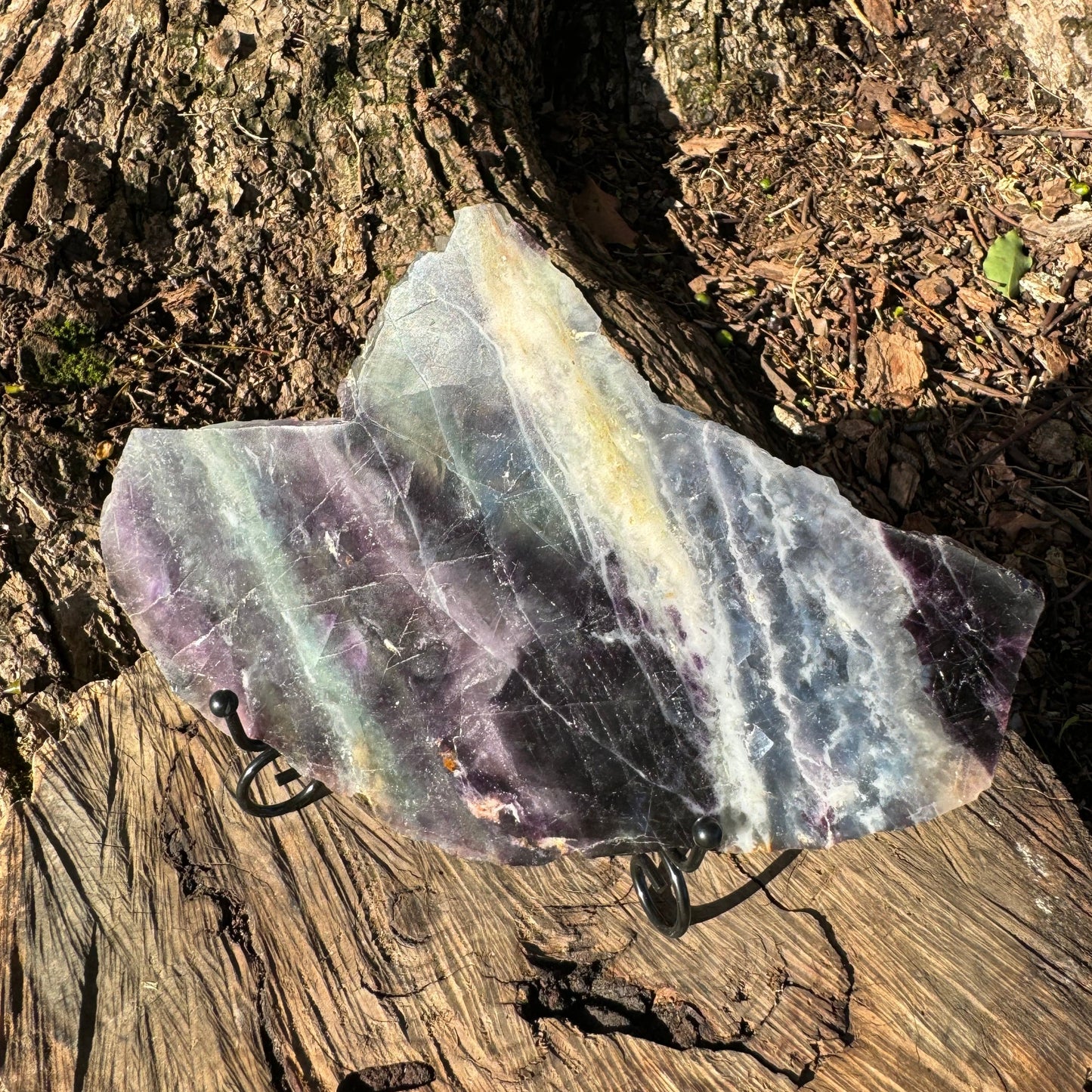 Watermelon Fluorite Slice