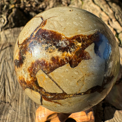 Septarian Sphere