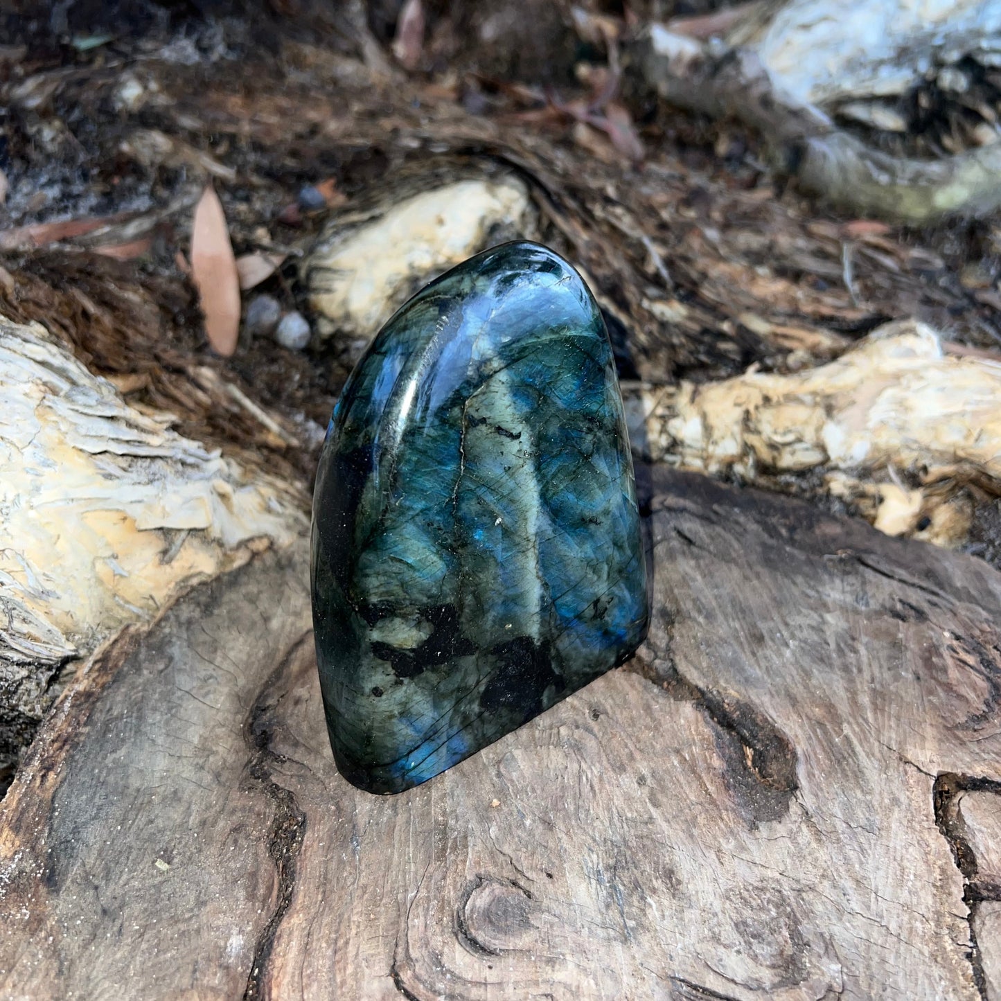 Labradorite Free Form