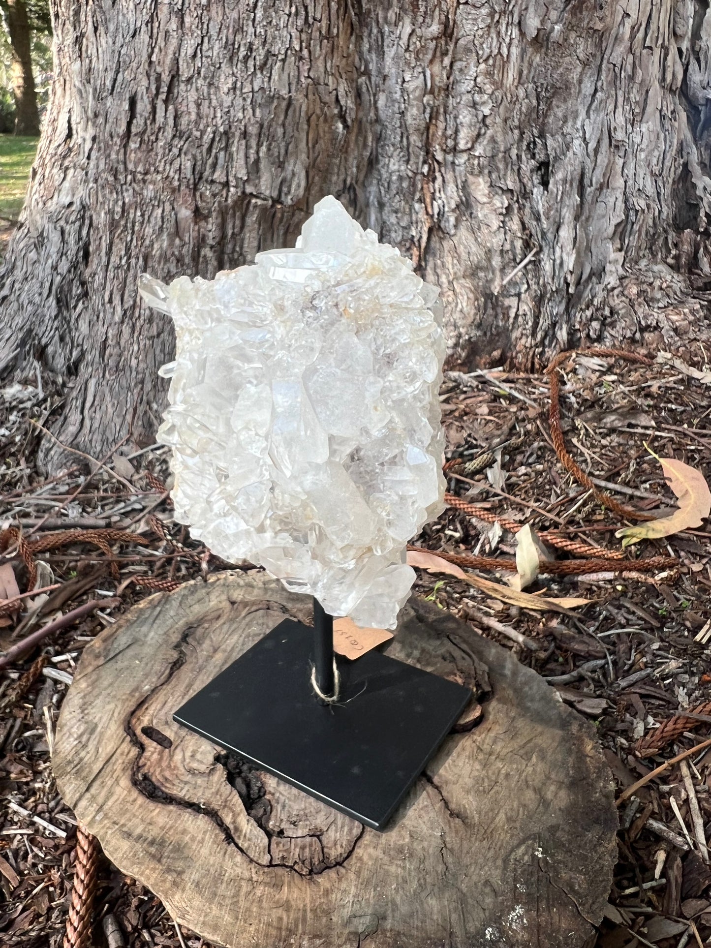 Clear Quartz Cluster