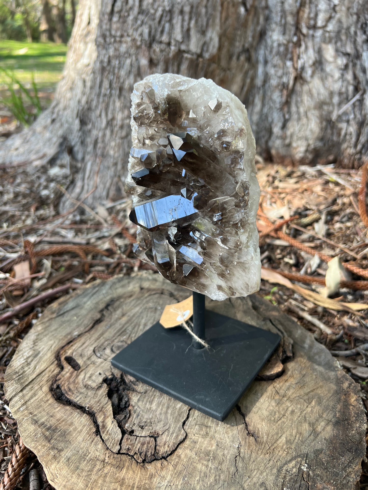 Smoky Quartz Cluster