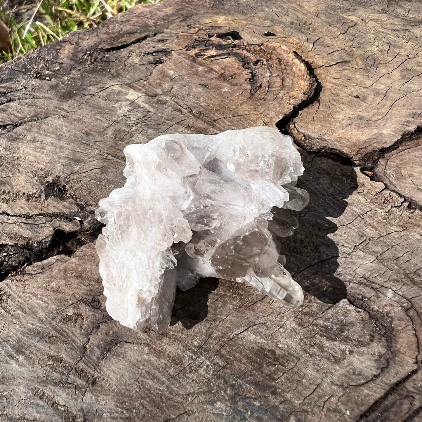 Smoky Quartz Cluster