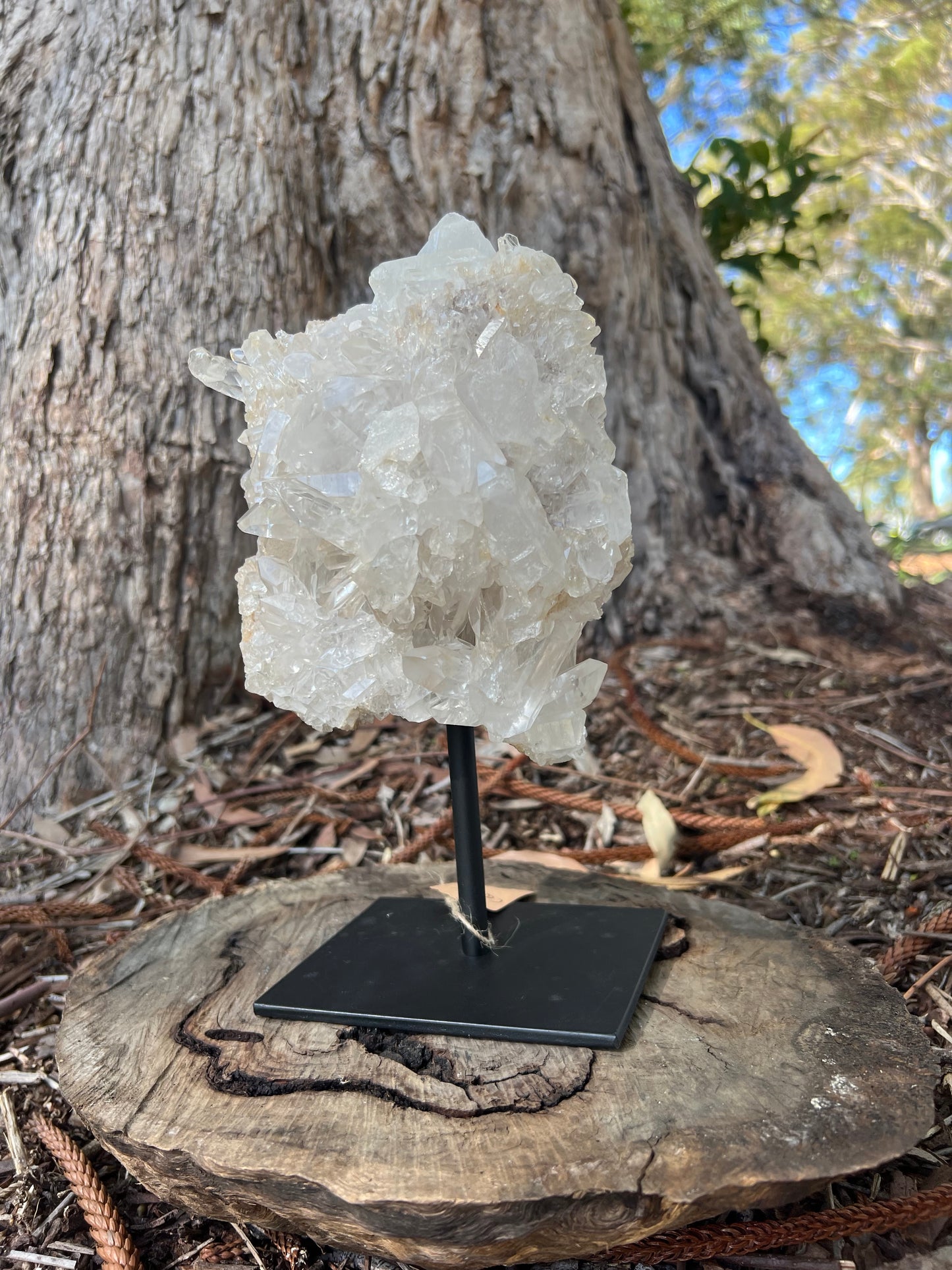 Clear Quartz Cluster