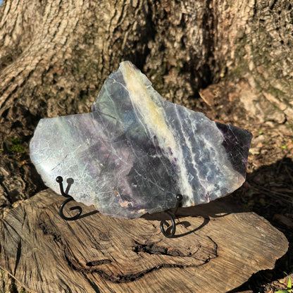 Watermelon Fluorite Slice