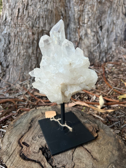 Clear Quartz Cluster