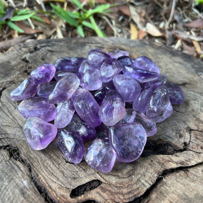 Tumbles - Amethyst