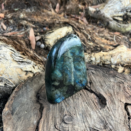 Labradorite Free Form