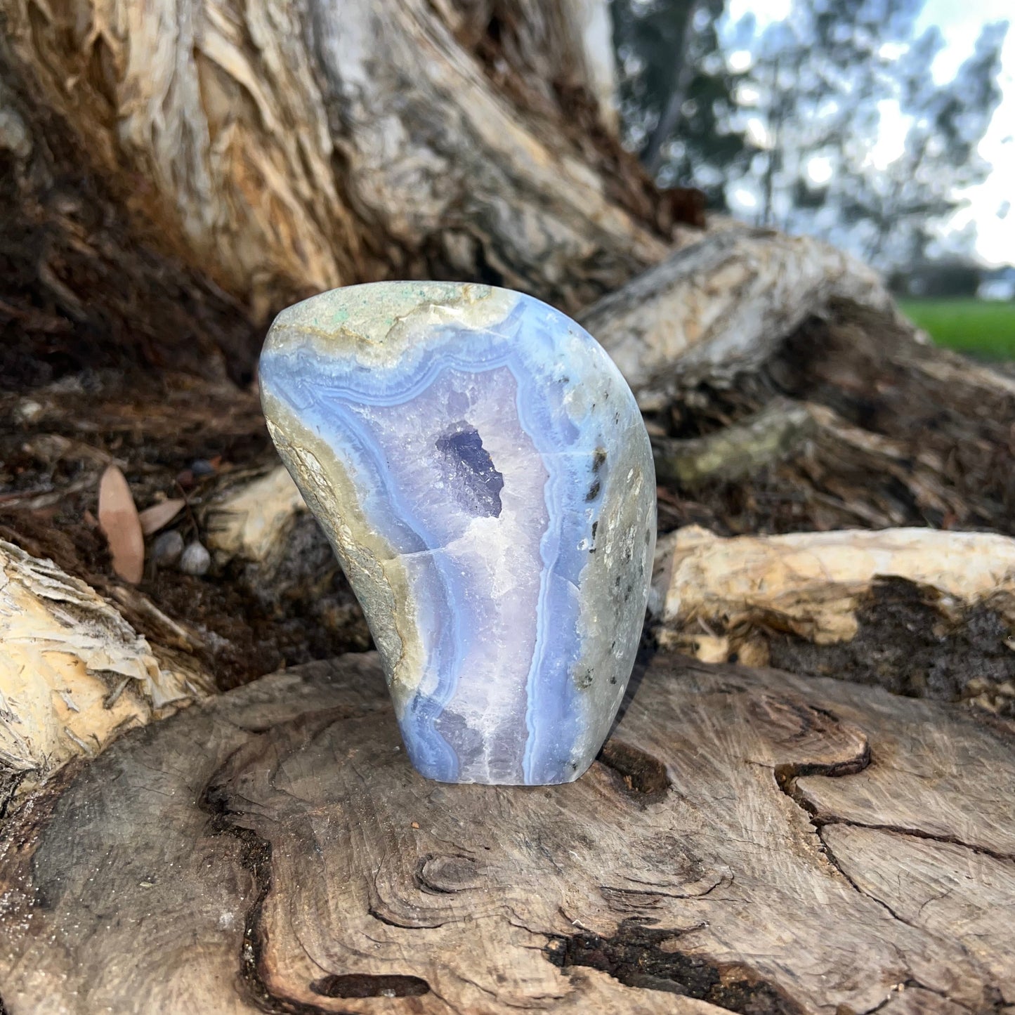 Blue Lace Agate Free Form