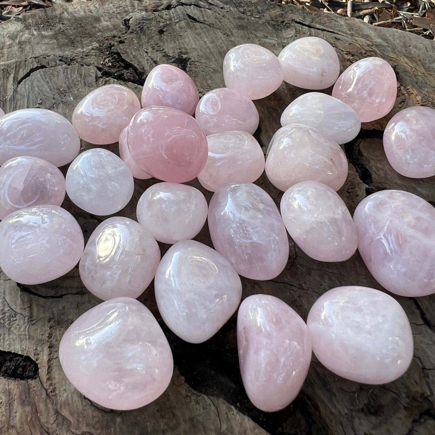 Tumbles - Rose Quartz