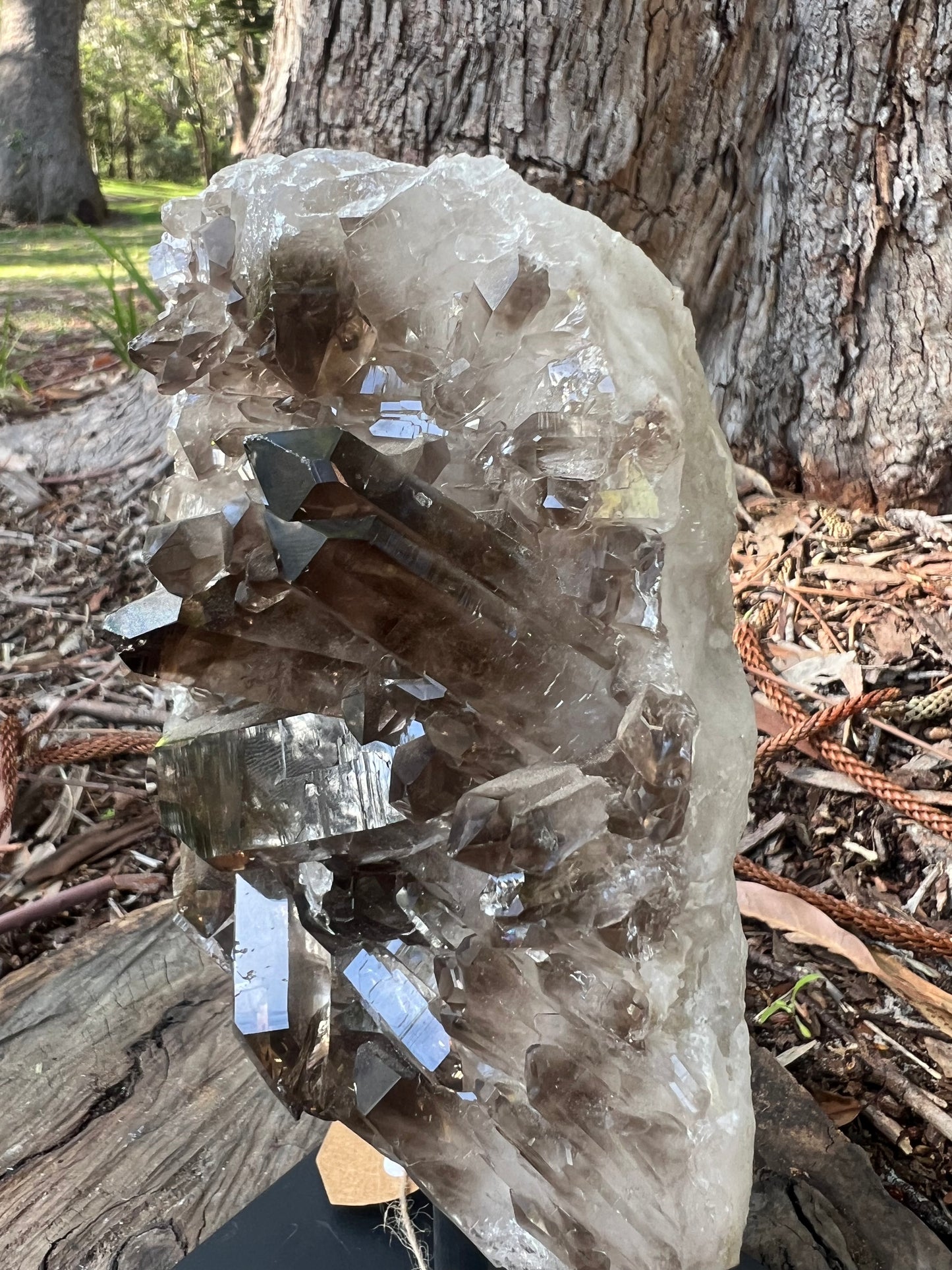 Smoky Quartz Cluster