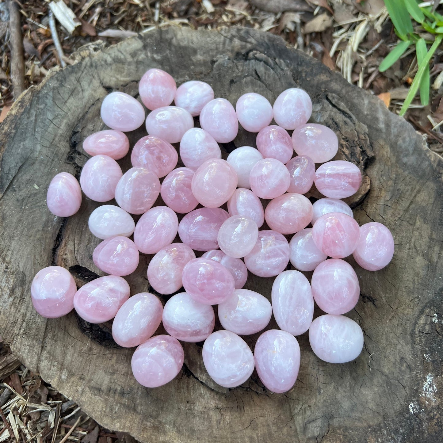 Tumbles - AAA Grade Rose Quartz