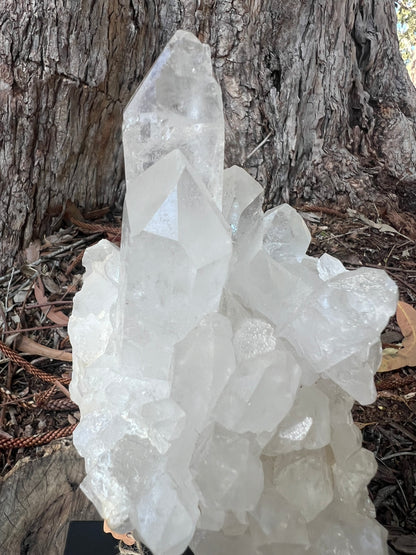 Clear Quartz Cluster