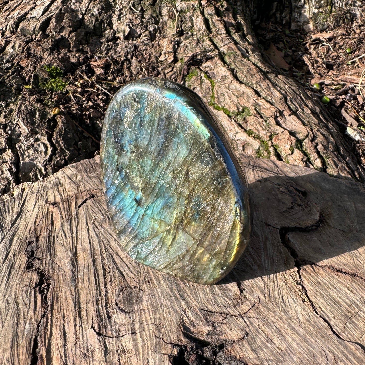 Labradorite Free Form