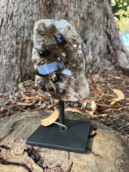 Smoky Quartz Cluster