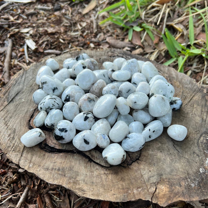 Tumbles - Rainbow Moonstone