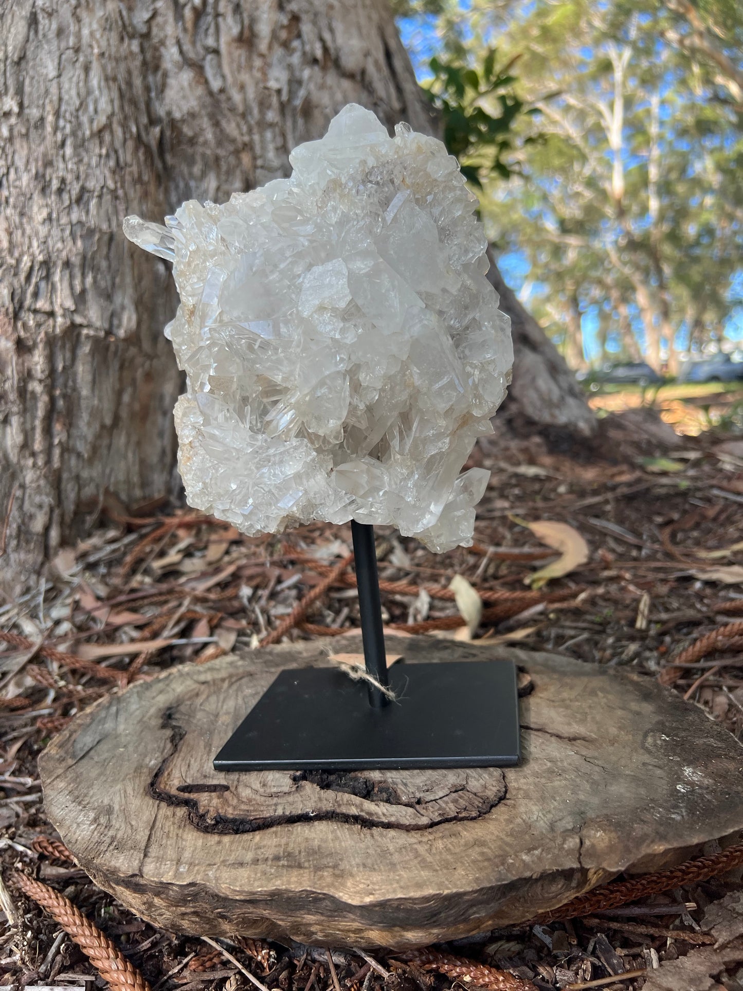 Clear Quartz Cluster