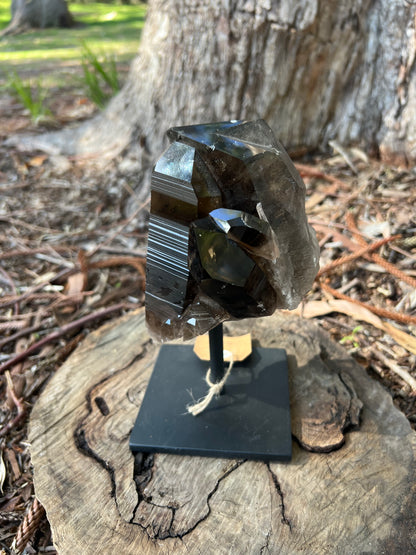 Smoky Quartz Cluster