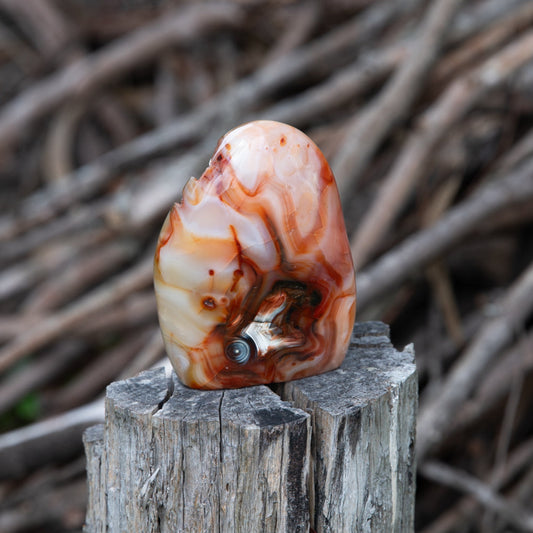 Carnelian Free Form