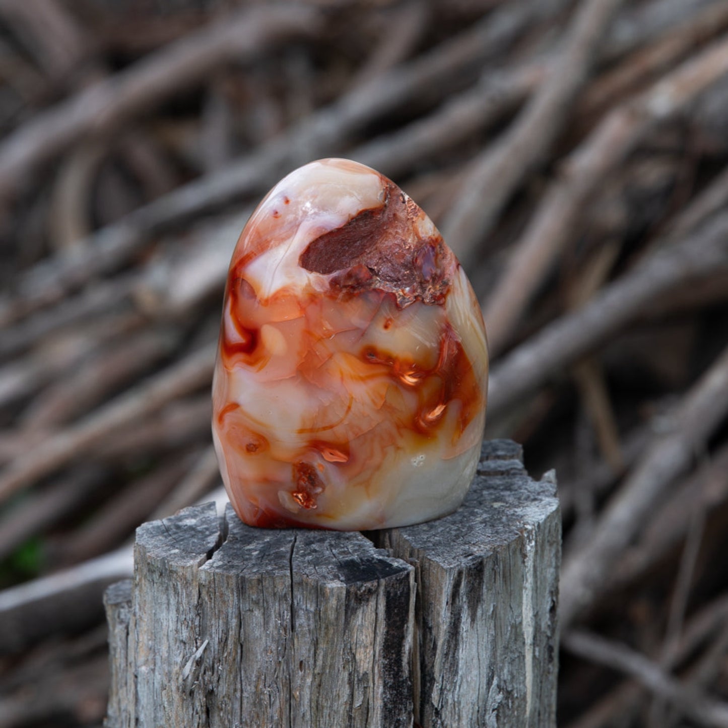 Carnelian Free Form