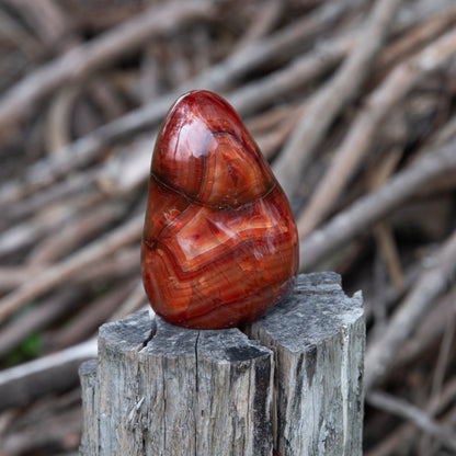 Carnelian Free Form