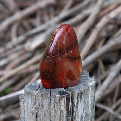 Carnelian Free Form