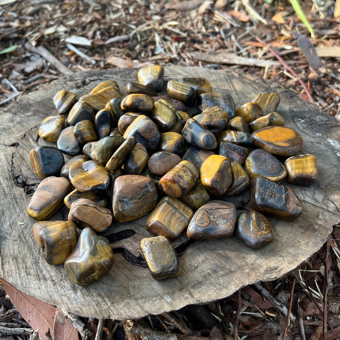 Tumbles - Tigers Eye