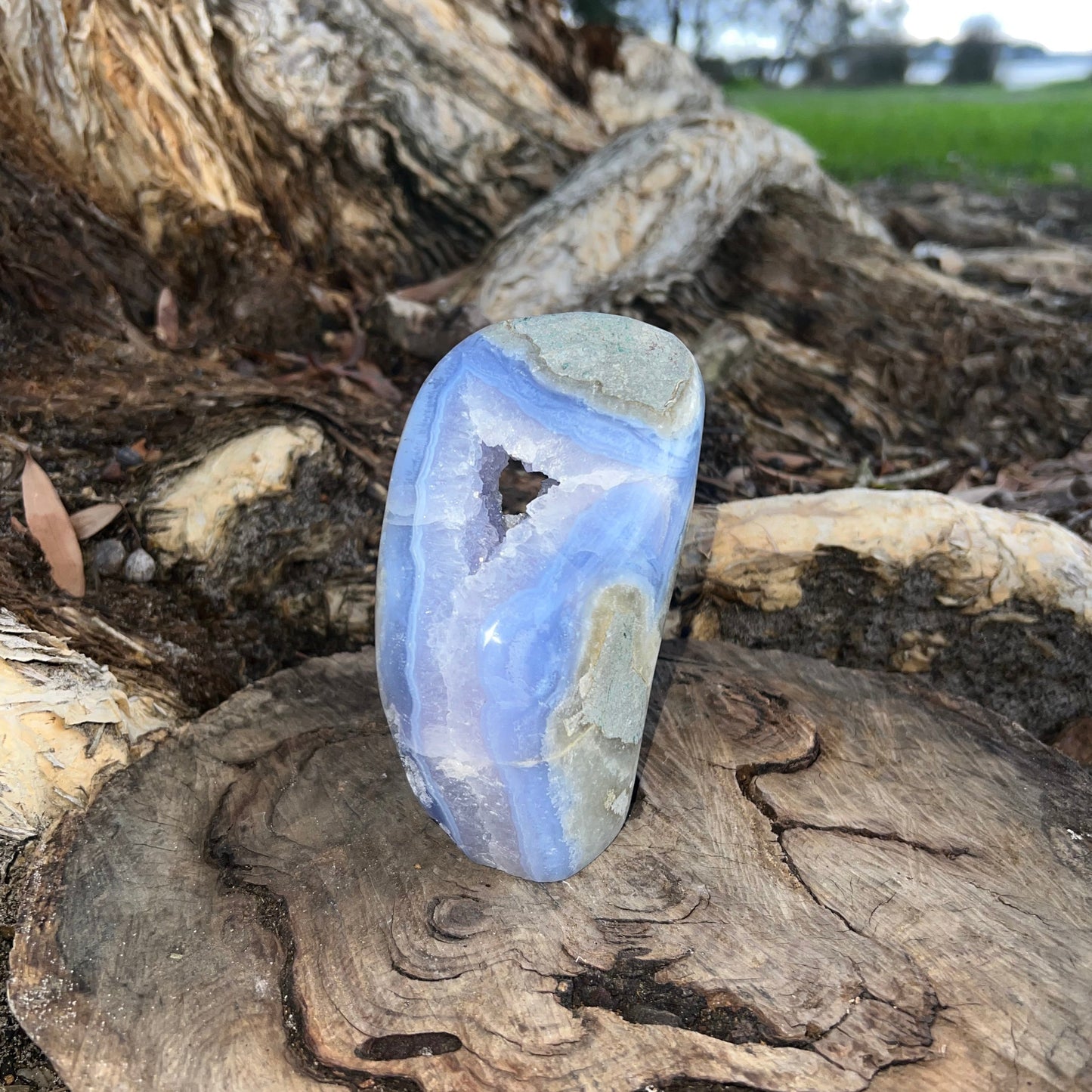 Blue Lace Agate Free Form