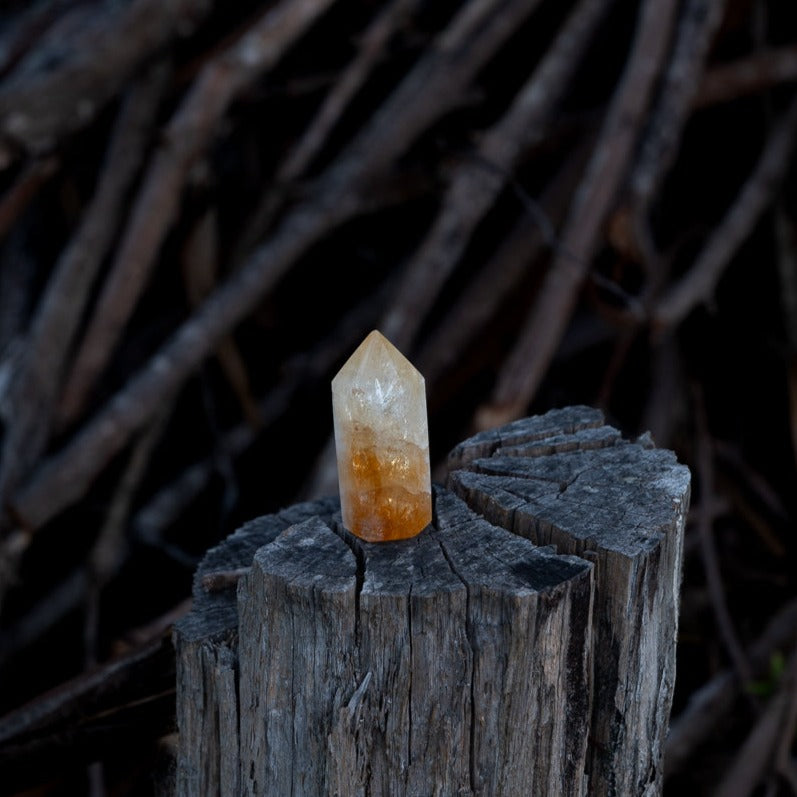 Citrine Stumpy Point