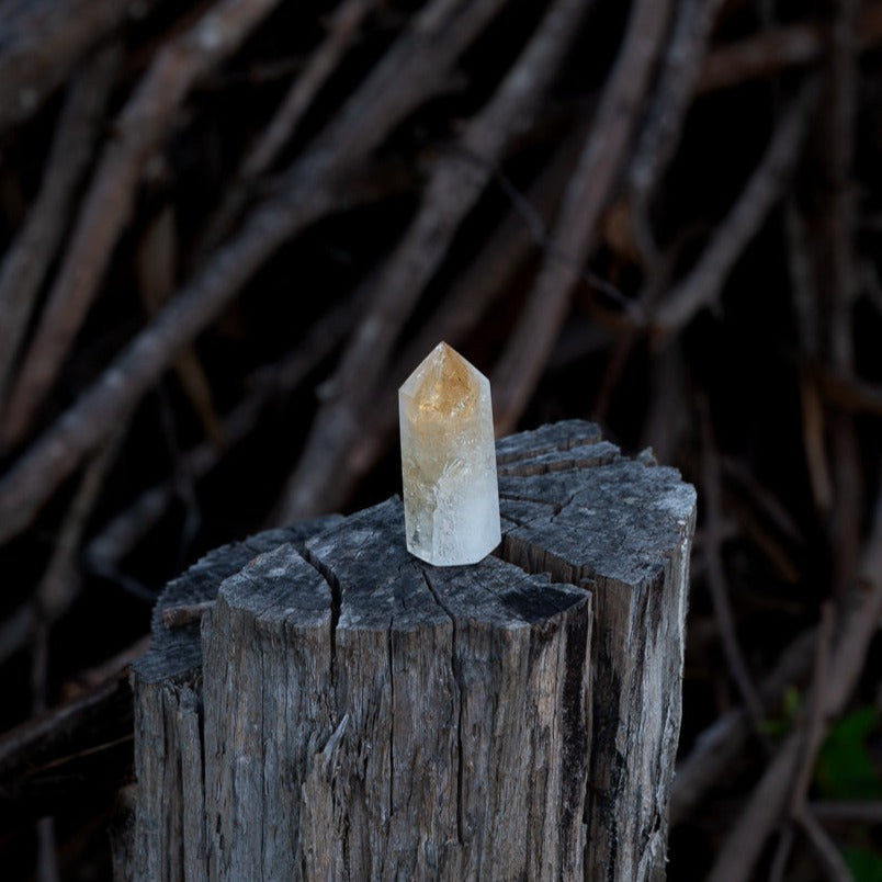 Citrine Stumpy Point