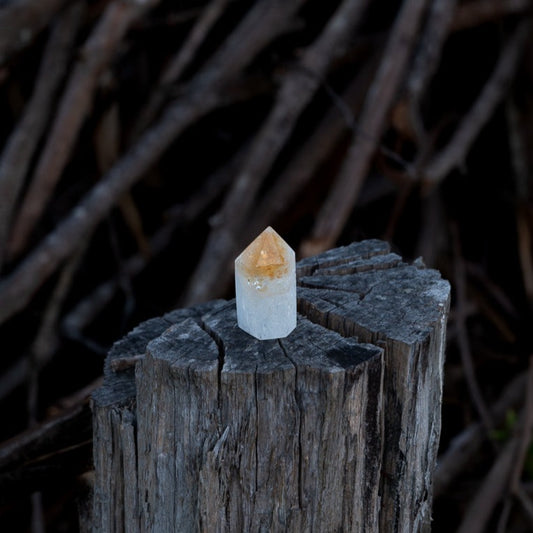 Citrine Stumpy Point