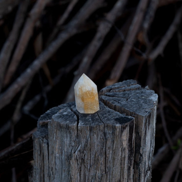 Citrine Stumpy Point