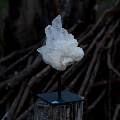 Clear Quartz Cluster