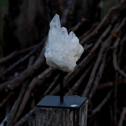 Clear Quartz Cluster