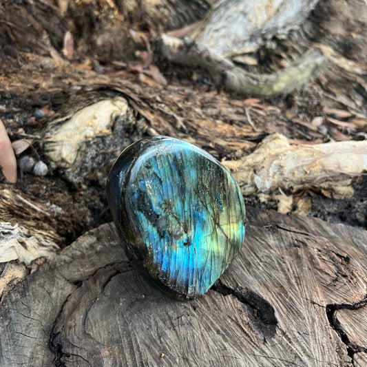 Labradorite Free Form