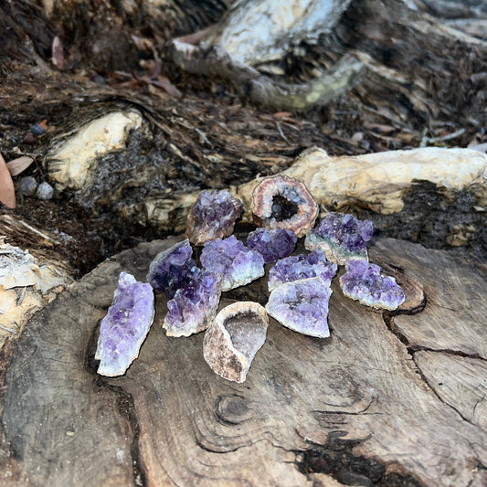 Amethyst Cluster - Large