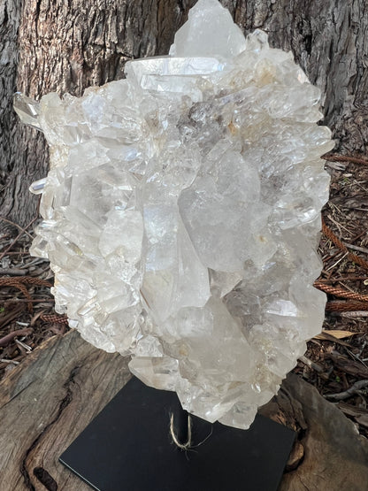 Clear Quartz Cluster