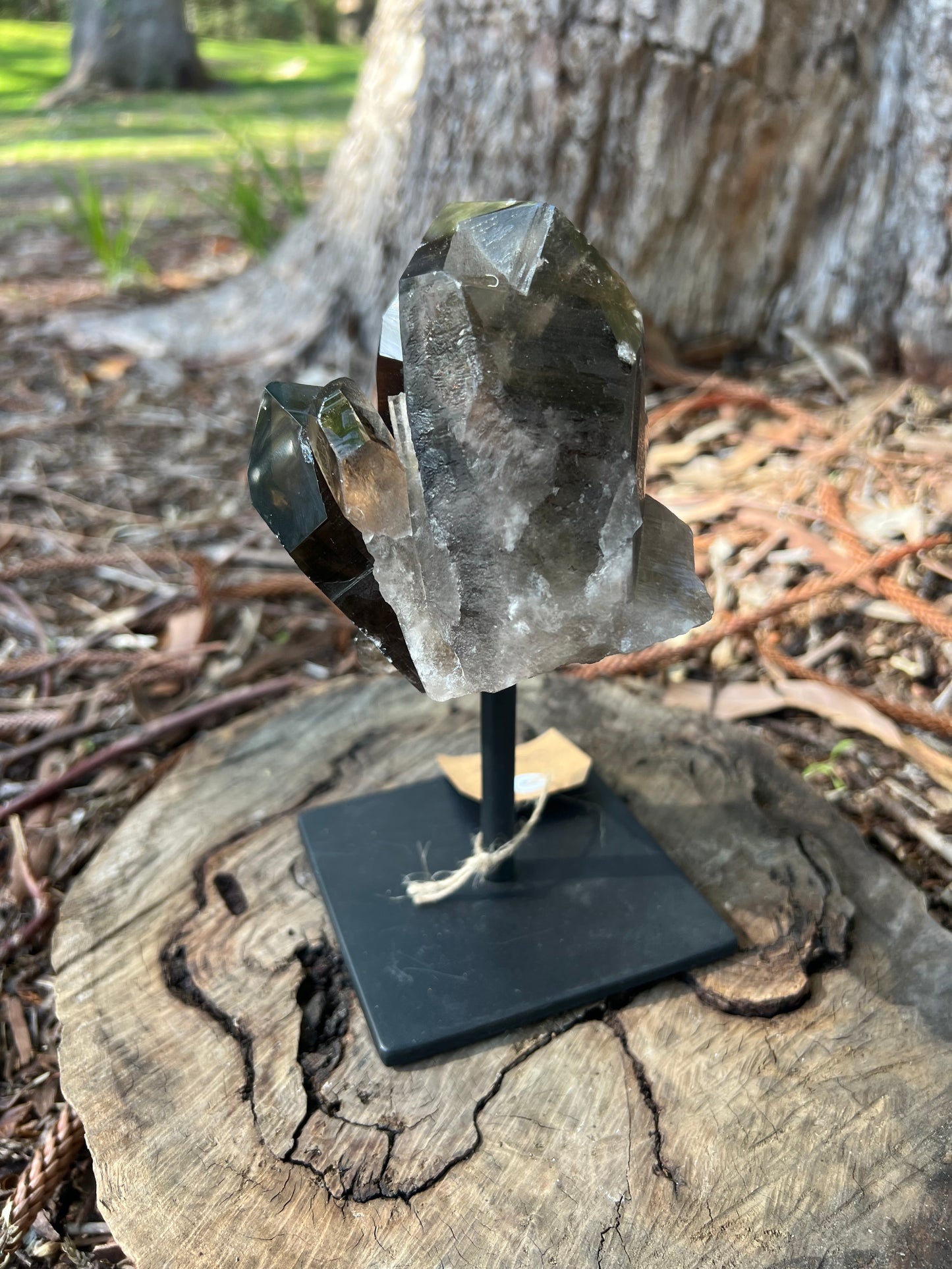 Smoky Quartz Cluster