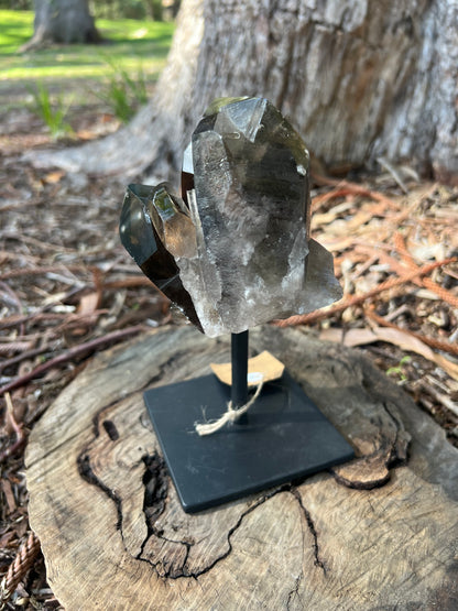 Smoky Quartz Cluster