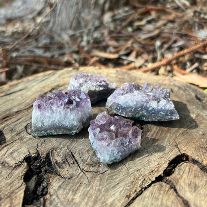 Amethyst Cluster - Small