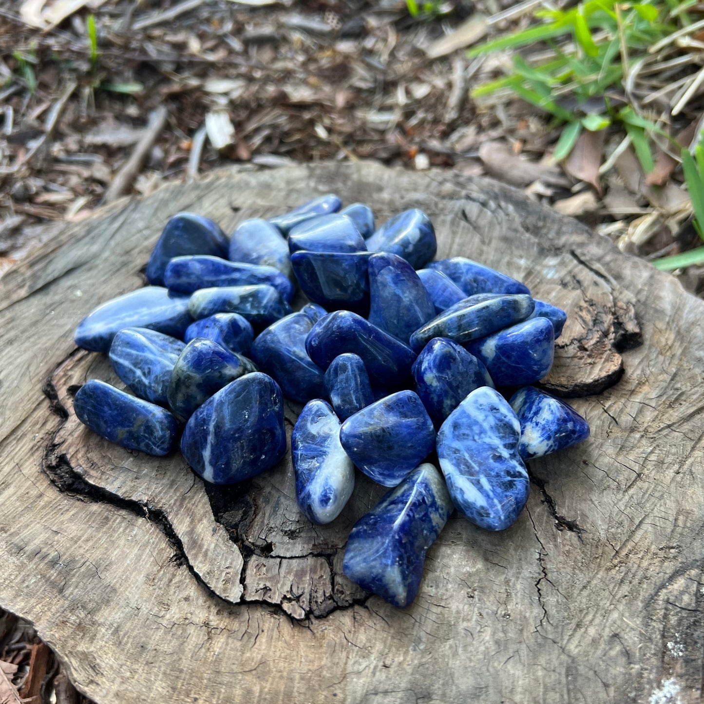 Tumbles - Sodalite