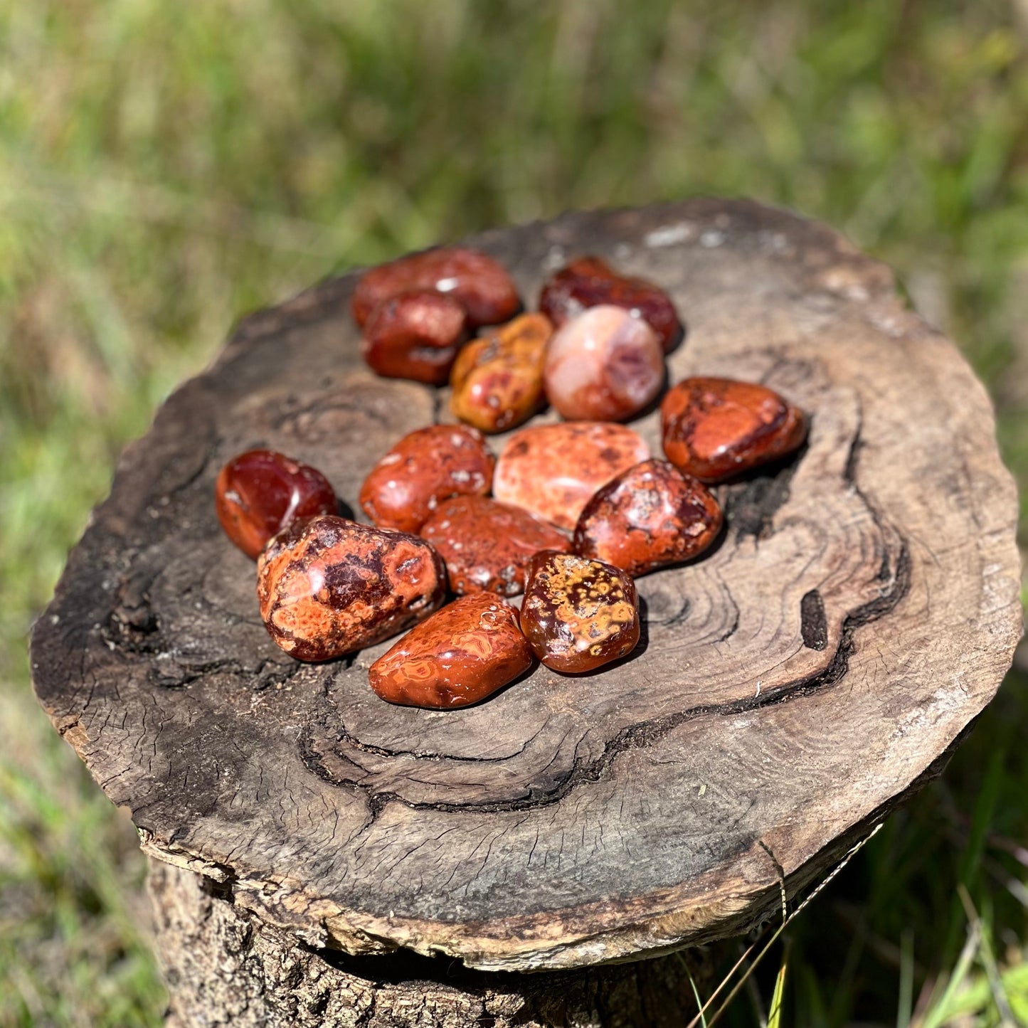 Jumbo Tumbles - Carnelian