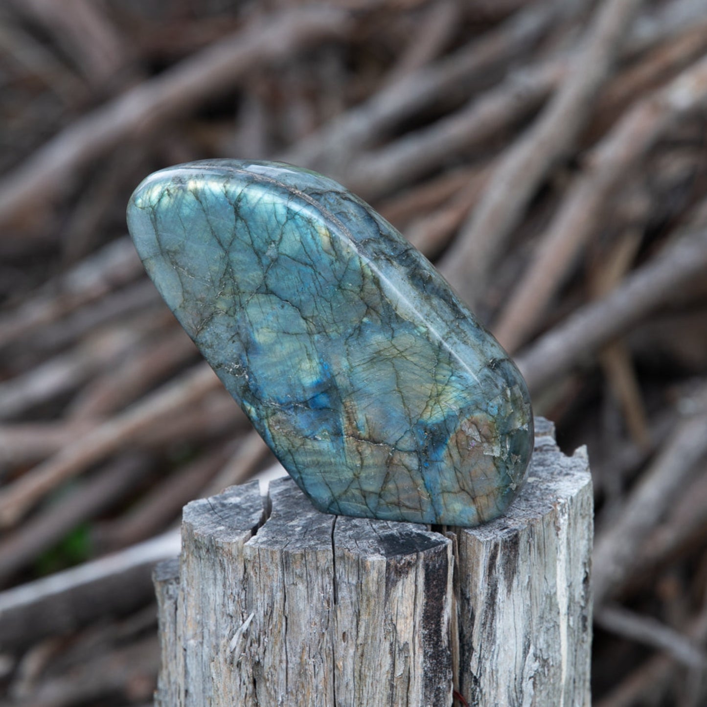 Labradorite Free Form