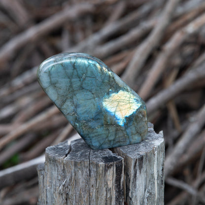 Labradorite Free Form