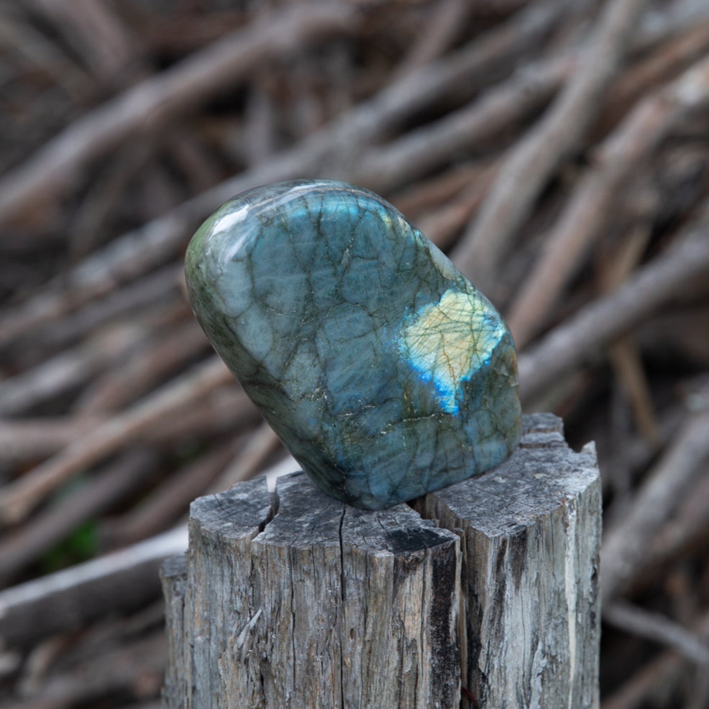 Labradorite Free Form