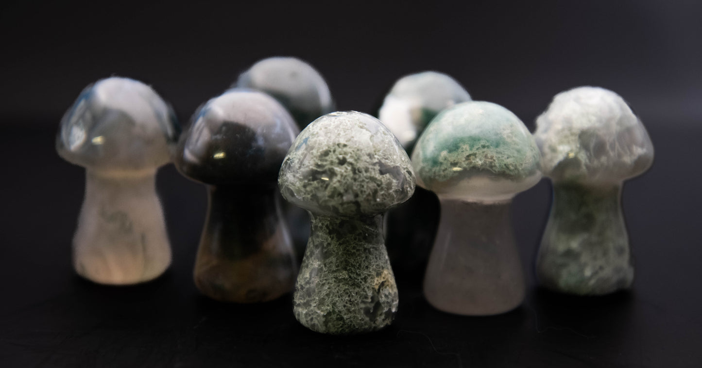 Moss Agate Mushrooms