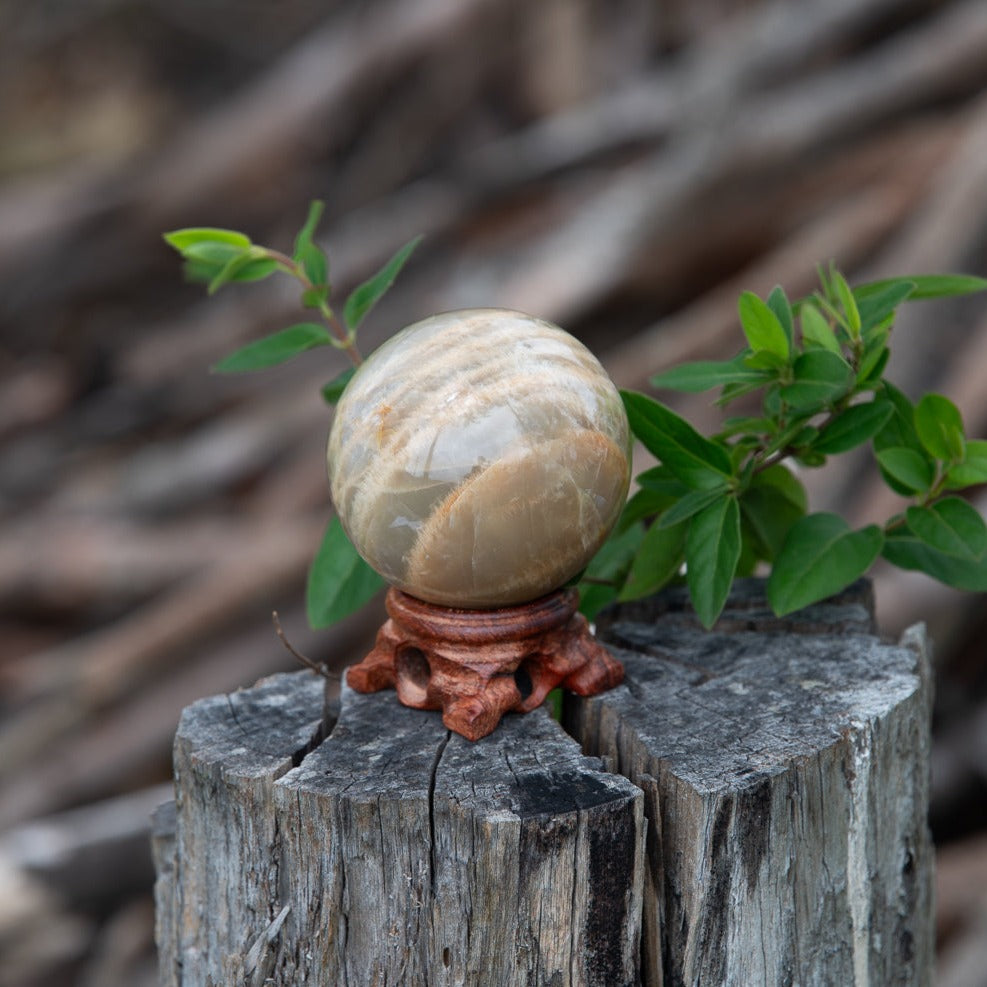 Salmon Moonstone Sphere